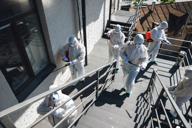 Reliable Kenyon, MN Mold Removal Solutions
