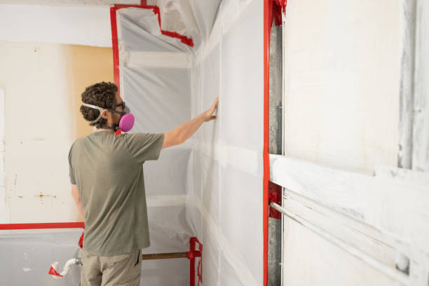 Mold Removal for HVAC Installations in Kenyon, MN