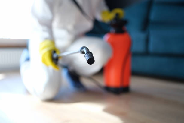 Best Air Quality Testing for Mold Spores  in Kenyon, MN