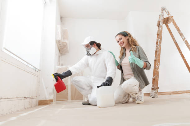 Best Crawl Space Mold Remediation  in Kenyon, MN