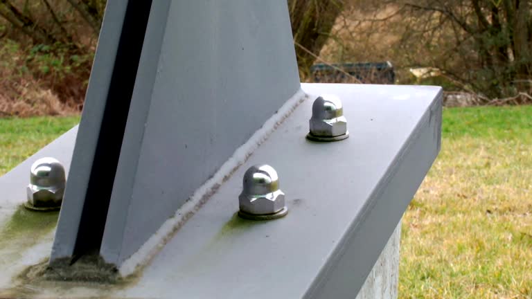 Best Emergency Mold Remediation  in Kenyon, MN