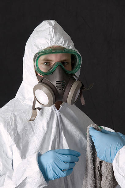 Best Mold Prevention Services  in Kenyon, MN